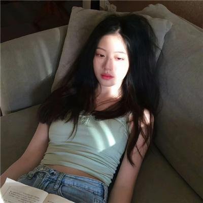 哈莱姆的郁金香